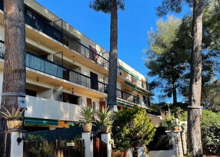 Charmant T3 Au Milieu Des Pins, Terrasse Sud, Vue Mer, Plage A Pieds, Fibre Et Garage Prive Inclus