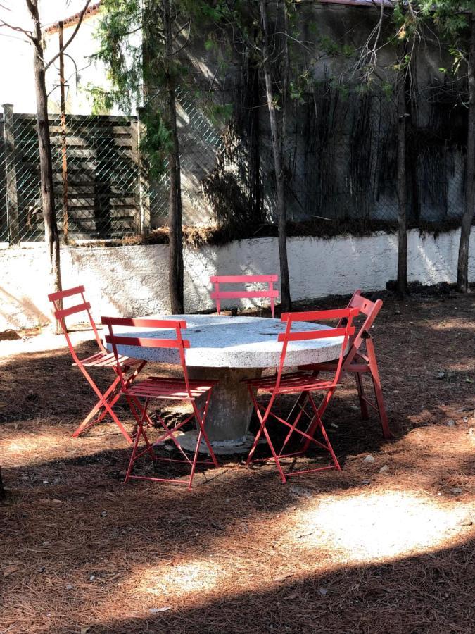 T3 Au Milieu Des Pins, Terrasse Sud, Vue Mer, A Pieds, Fibre Et Garage Prive Inclus Les Lecques